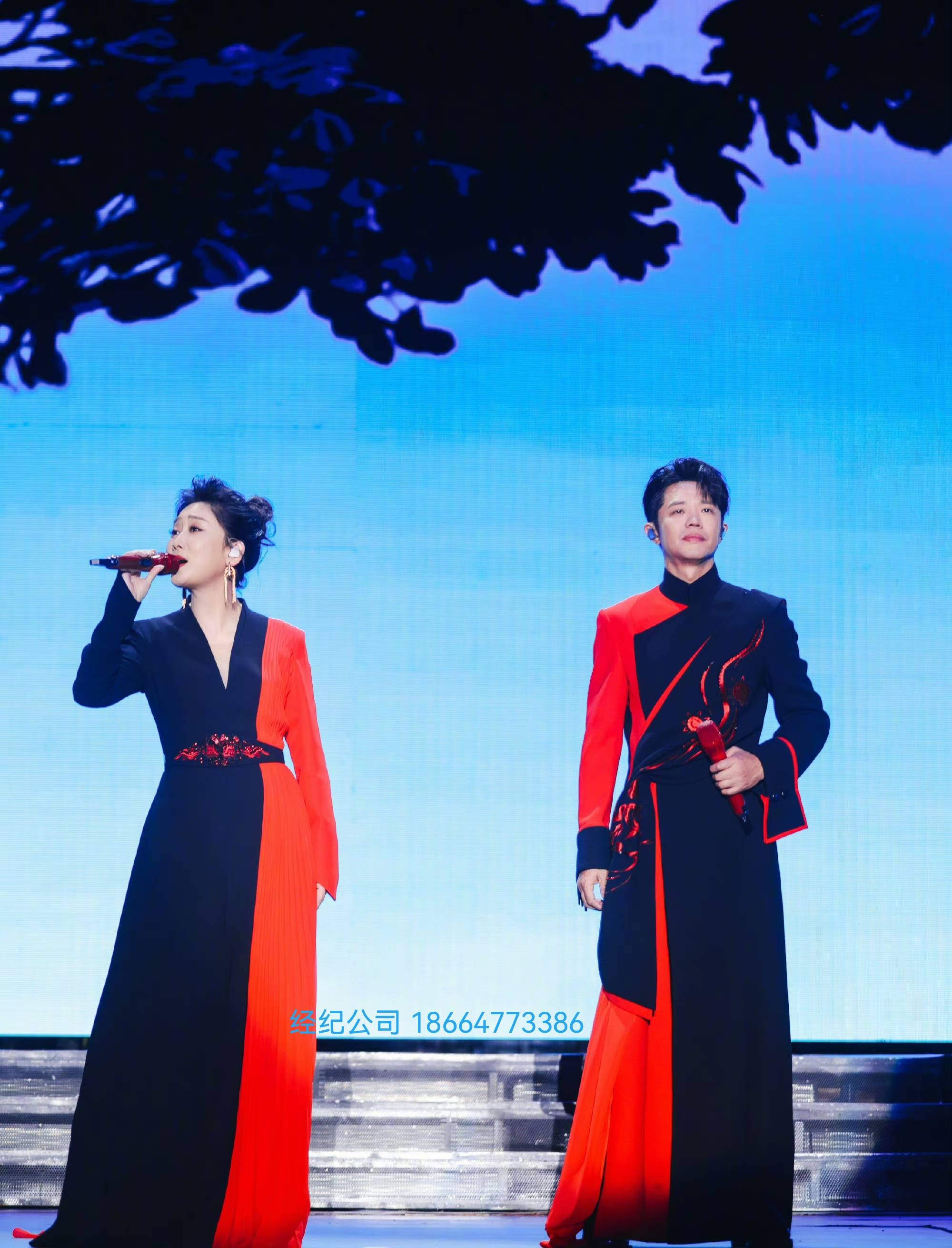 凤凰传奇 中国内地流行乐演唱组合