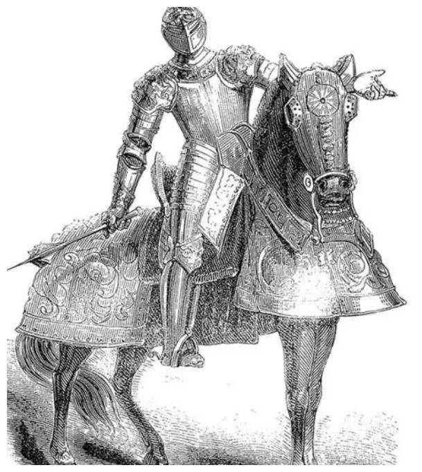 贵族子弟成为骑士,骑士制如何从辉煌走向没落_制度_社会_欧洲