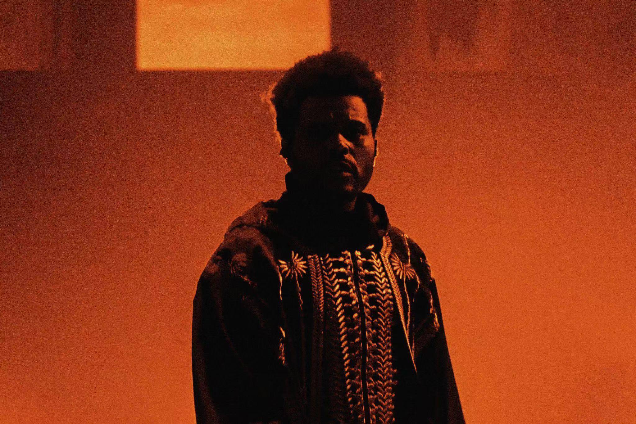 盆栽哥患恐慌障碍:我的焦虑是一场持续不断的战斗