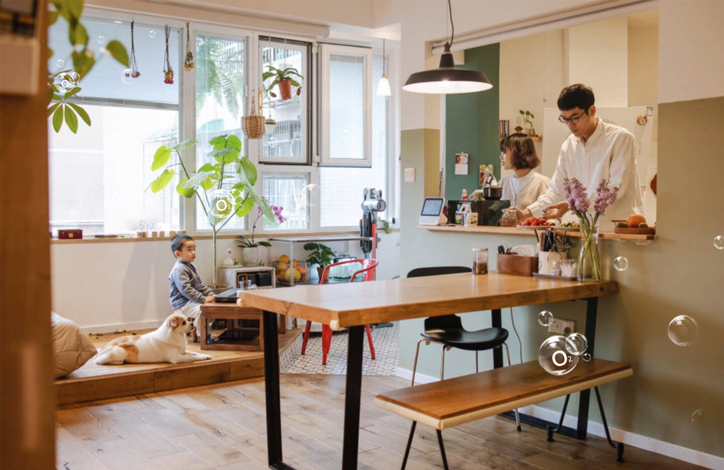 邂逅负氧离子,拥抱室内"森林氧吧"