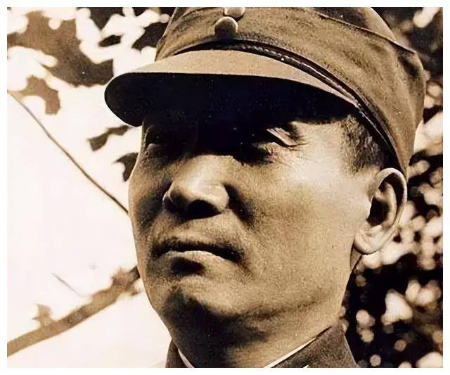 将军请杨之华母女,吉合,朱旦华等人
