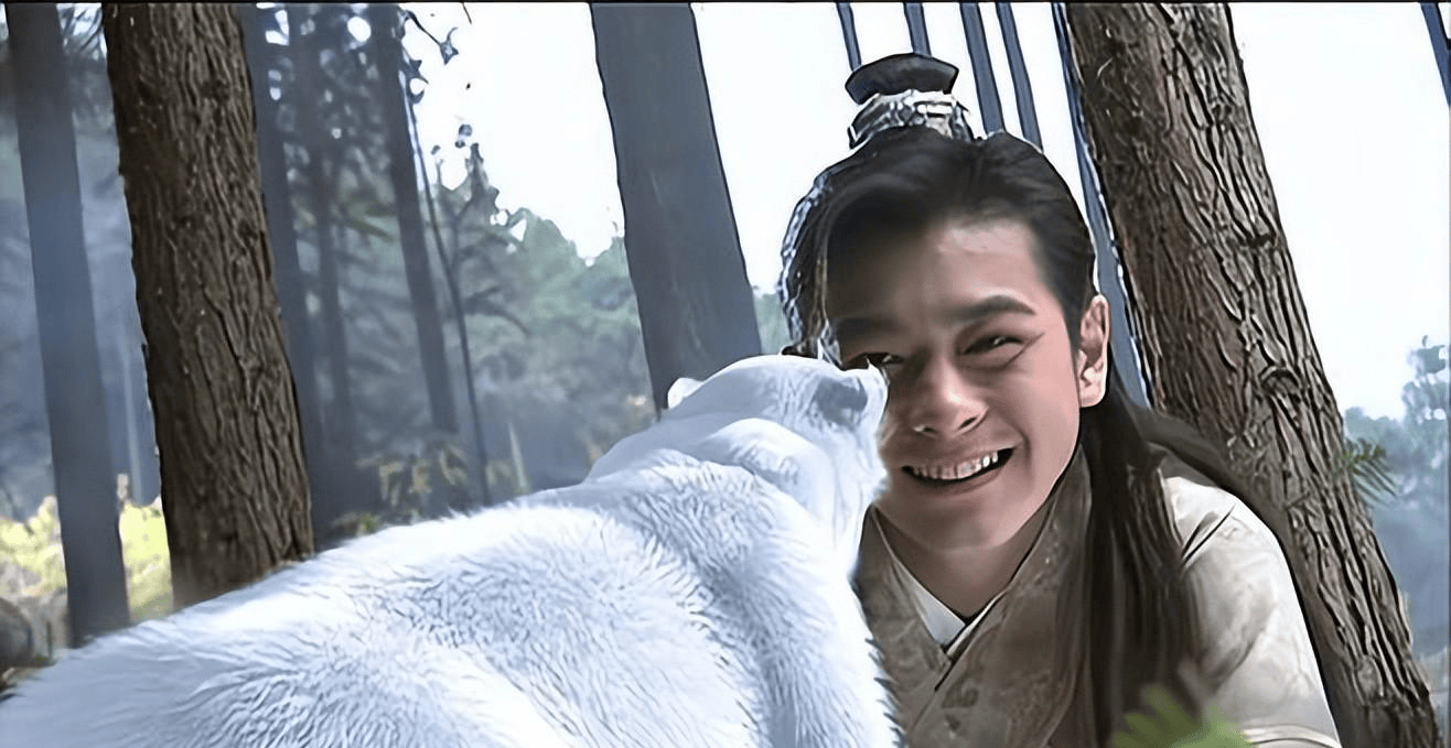 因为钟灵的武功并不是很高,在江湖上遇到突袭时,全靠闪