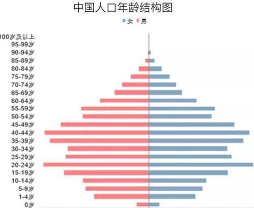 2020中国人口年龄结构图片