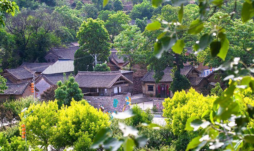 枫林镇孤山村图片