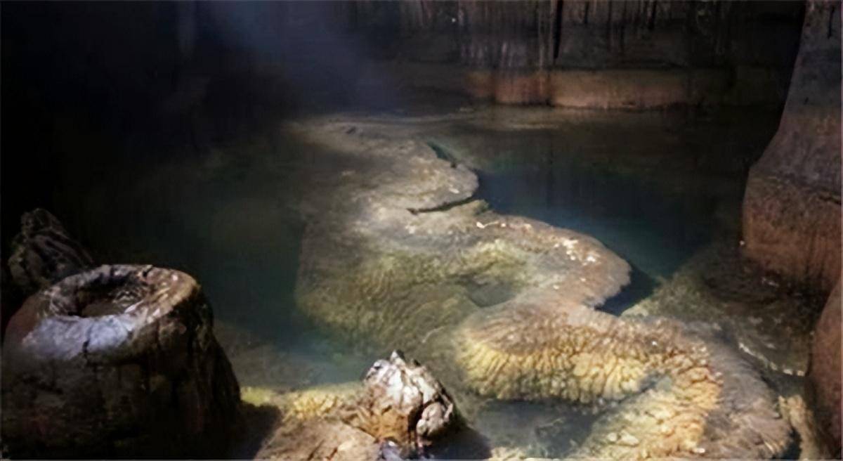 纪实:山洞发现 "真龙",当地人不敢靠近,专家:至少躺了上亿年