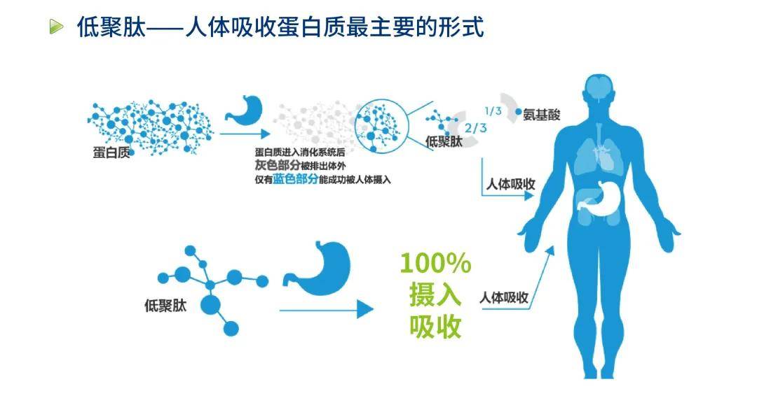 细胞健康决定人体健康图片