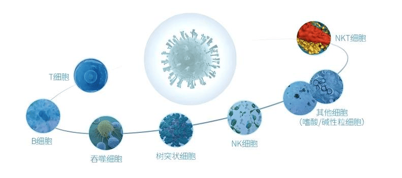 免疫細胞存儲這件事，不存會後悔，存了更後悔