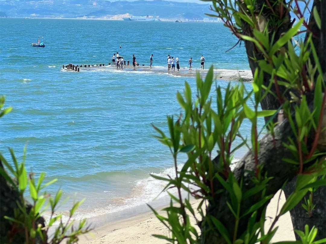 五天暴走厦门!解锁小众玩法,人均一千玩转文艺鹭岛,附详细行程路线!