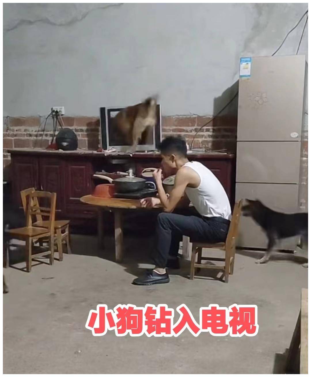 男子活煮小狗图片