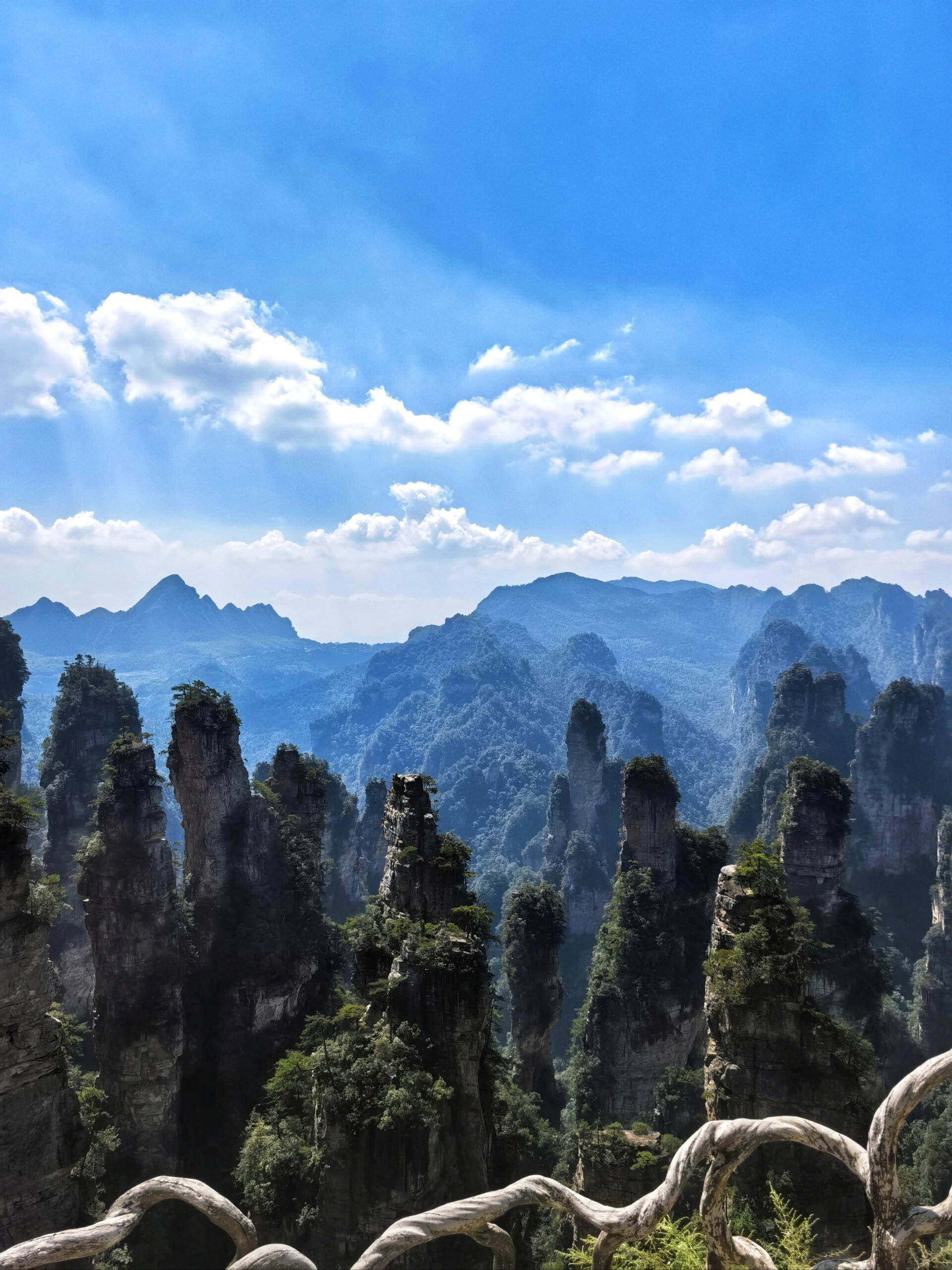 张家界森林公园风景图图片