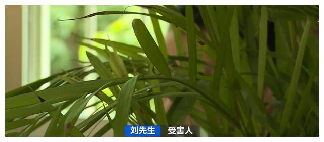 原创            2021年，男子网贷被骗9万，网上找黑客帮忙追钱，又被骗走4万元-被黑网贷骗了怎么报警
