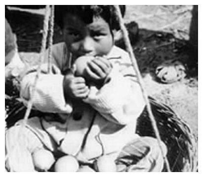 1992年聂荣臻临终前,拉着聂力的手说:有时间去日本看看"妹妹"