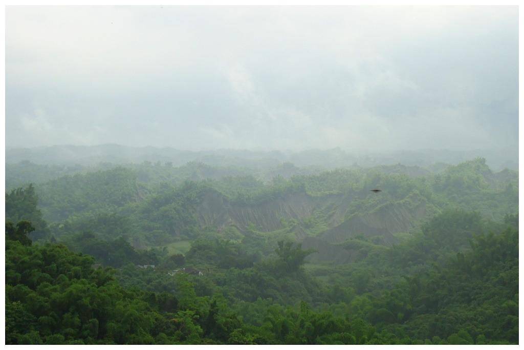 野人山有多恐怖?远征军老兵回忆:一旦倒下,很快就成为一堆白骨