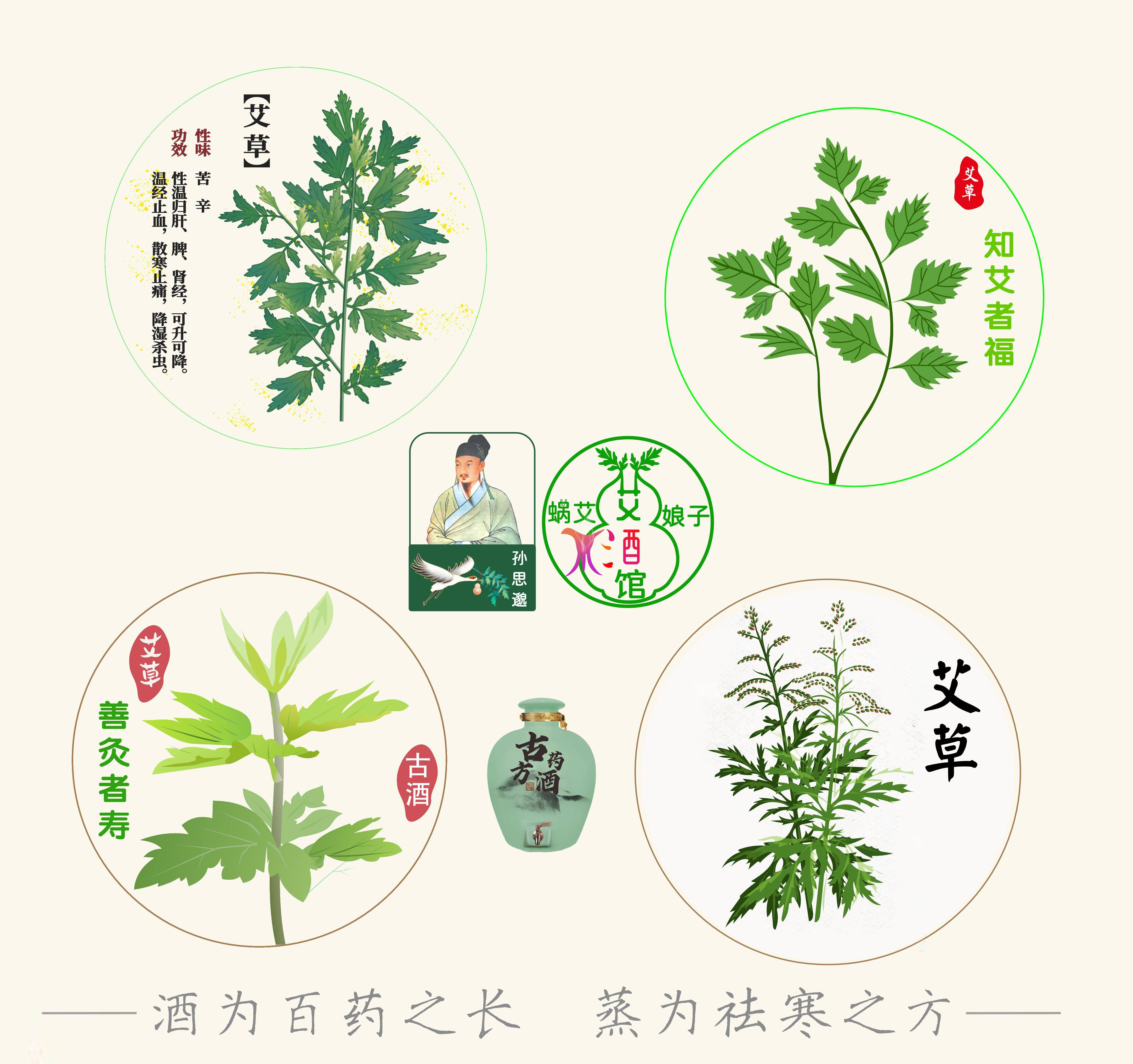 洋艾草的功效和图片图片