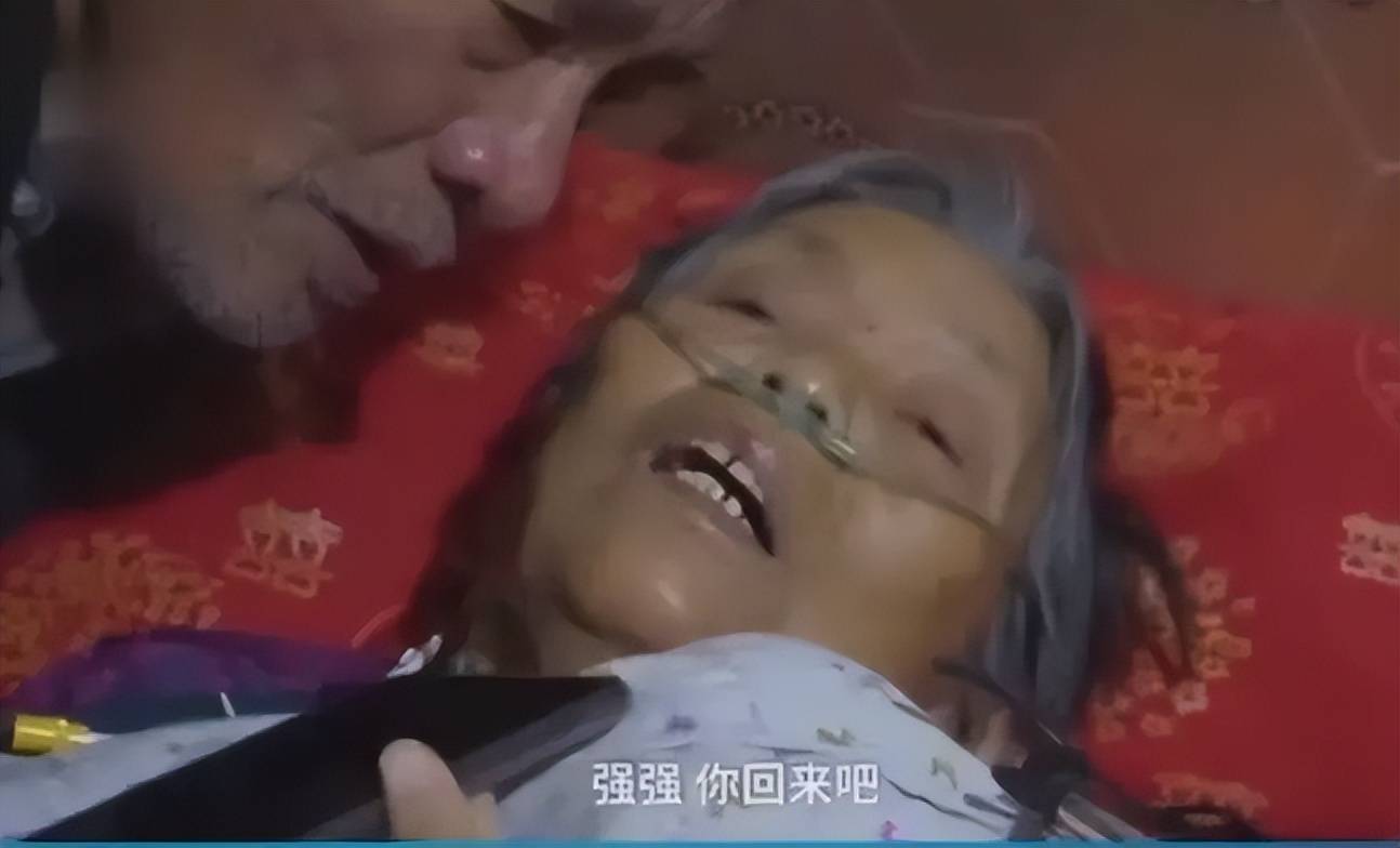 回顾北大博士王永强:移民美国20年不回家,母亲病危也不管,为何