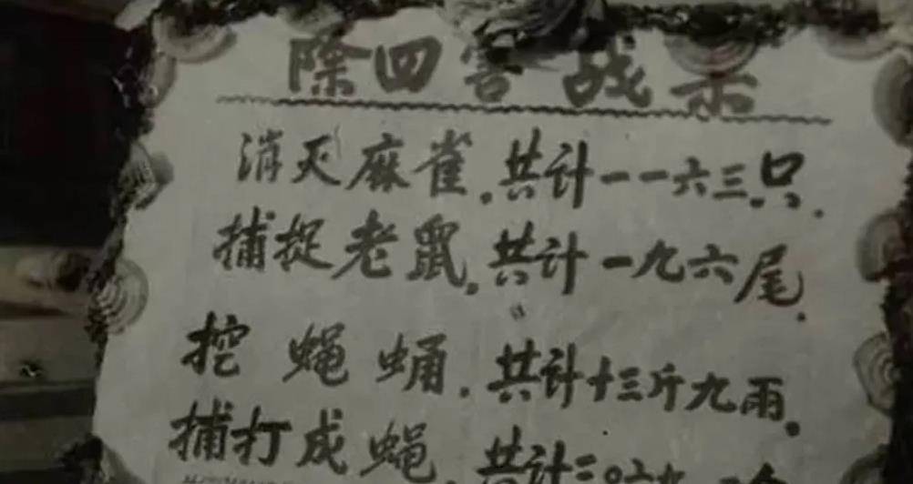 囤:一次性灭鼠35万只,拒绝外国收购,称卖配方等于卖国_老鼠_邱氏_鼠药