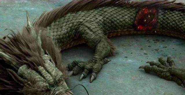 老人捐出当年的龙骨,专家:是化石