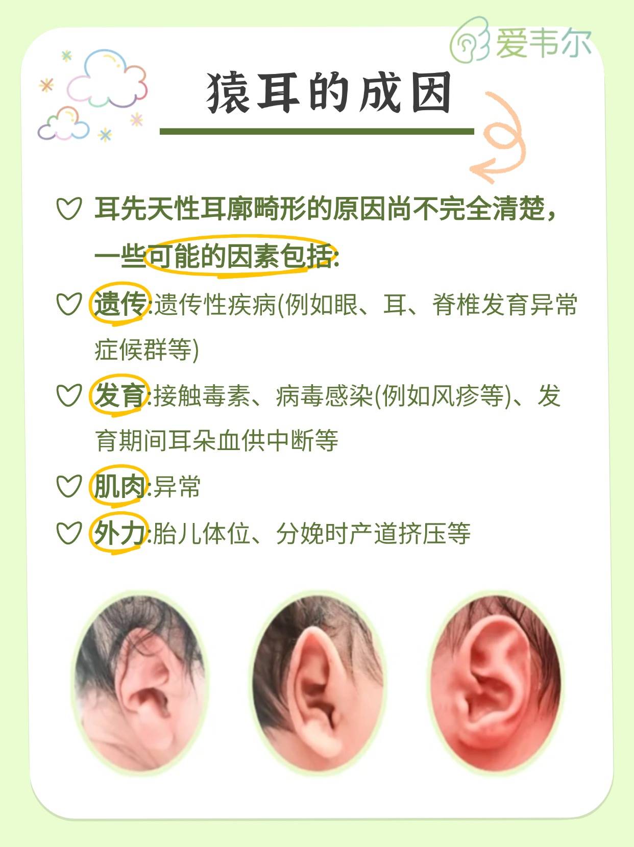 爱韦尔科普系列