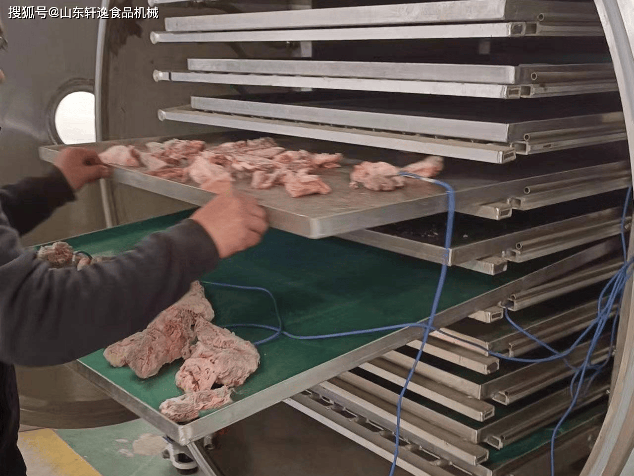 宠物零食加工利器:真空冻干机,肉粒干燥更便捷