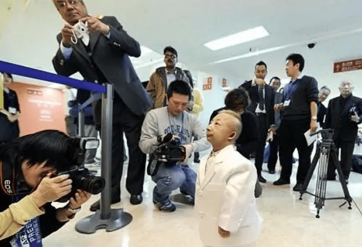 东莞何平平图片