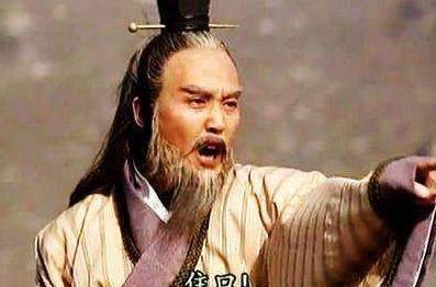 这位大臣被朝廷灭族,其中一个儿子逃跑了,大臣高呼:后患无穷!