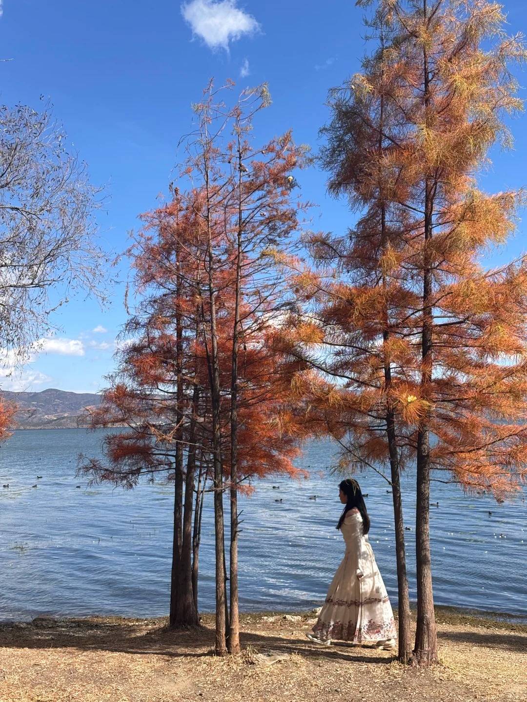 大理崇邑村真的太出片啦