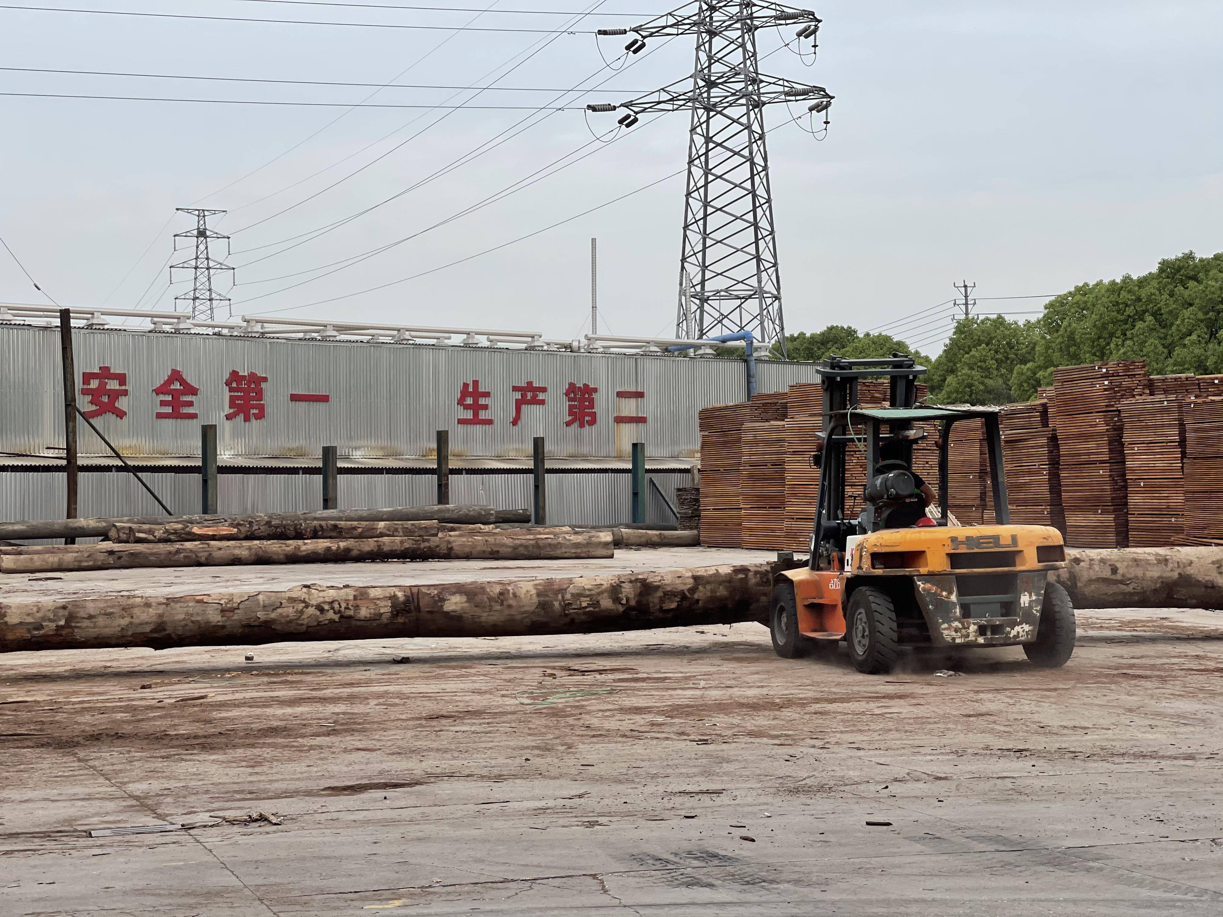 木材之家百科：全球木材知识宝典，助力行业高效前行