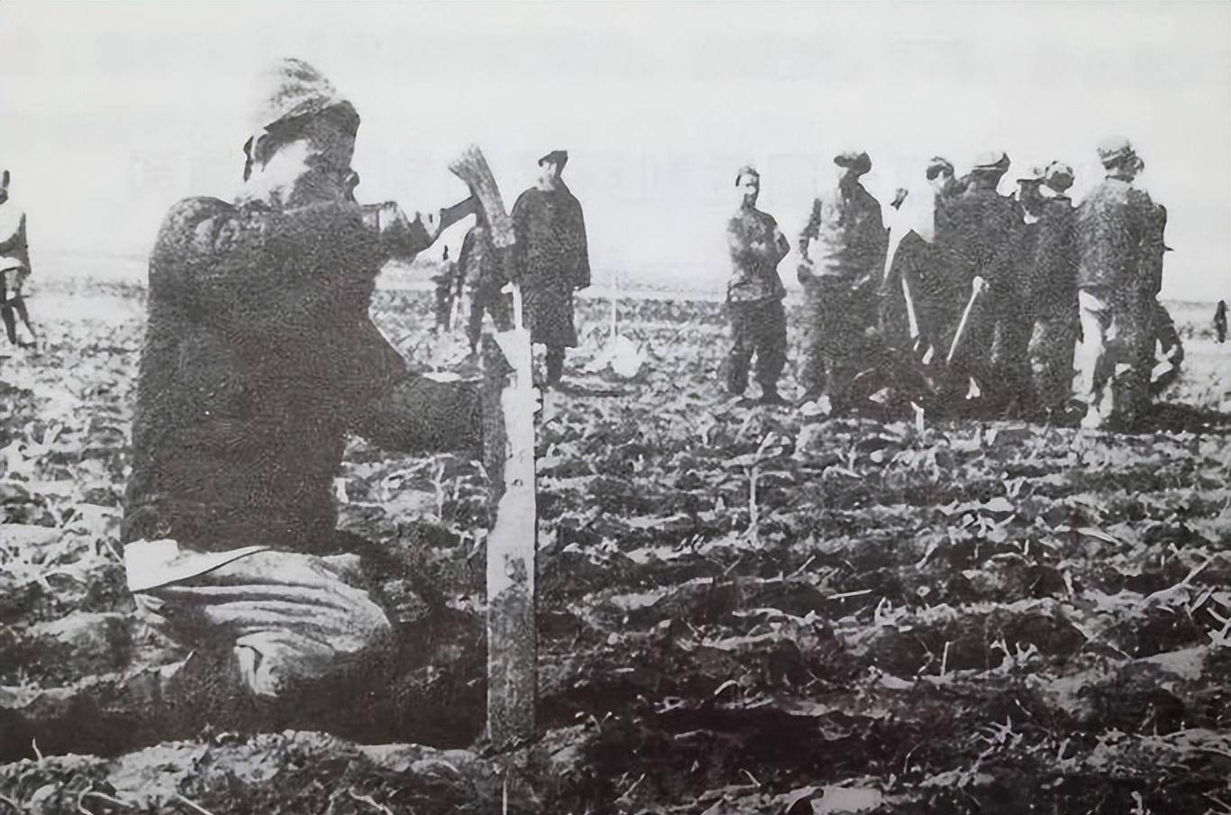 听到老家分地,国民党士兵纷纷倒戈,土崩瓦解_革命_改革_土地