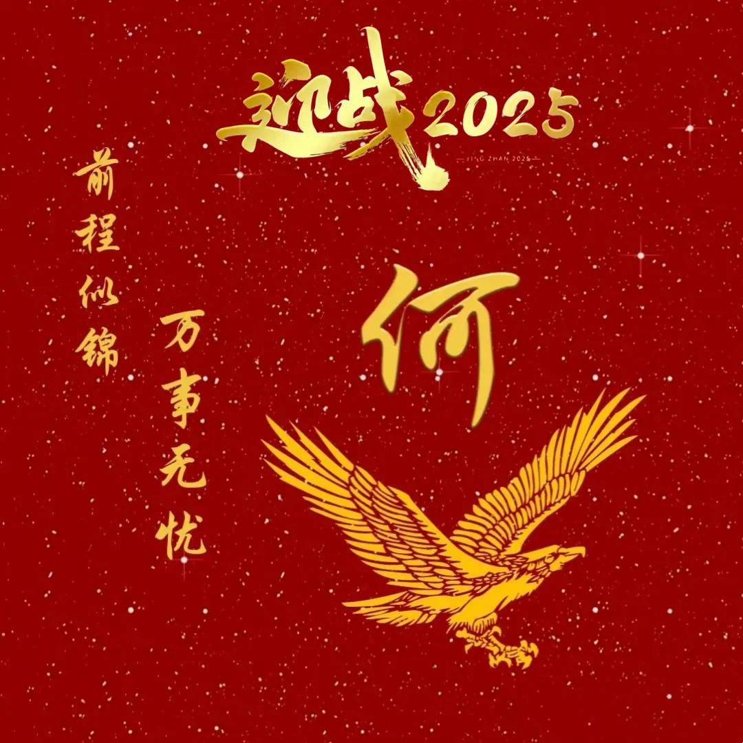 迎战2025新年励志头像
