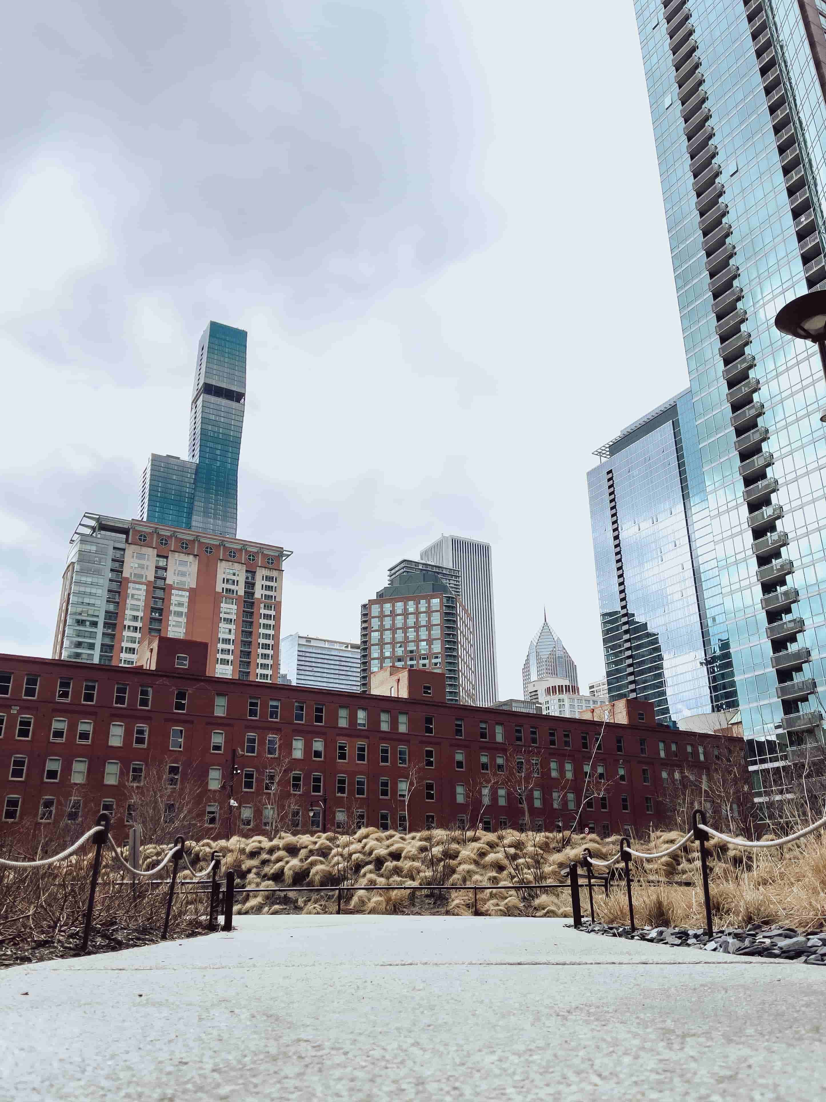 在多元时代，如何在“争奇斗艳”中保持真实自我的生活哲学_搜狐网