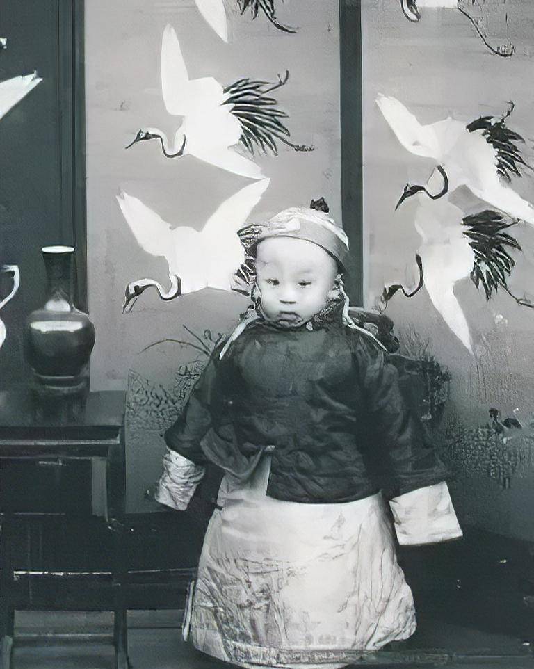 东北一老人自称是溥仪的亲儿子,有"皇后印玺"为证,结果如何?