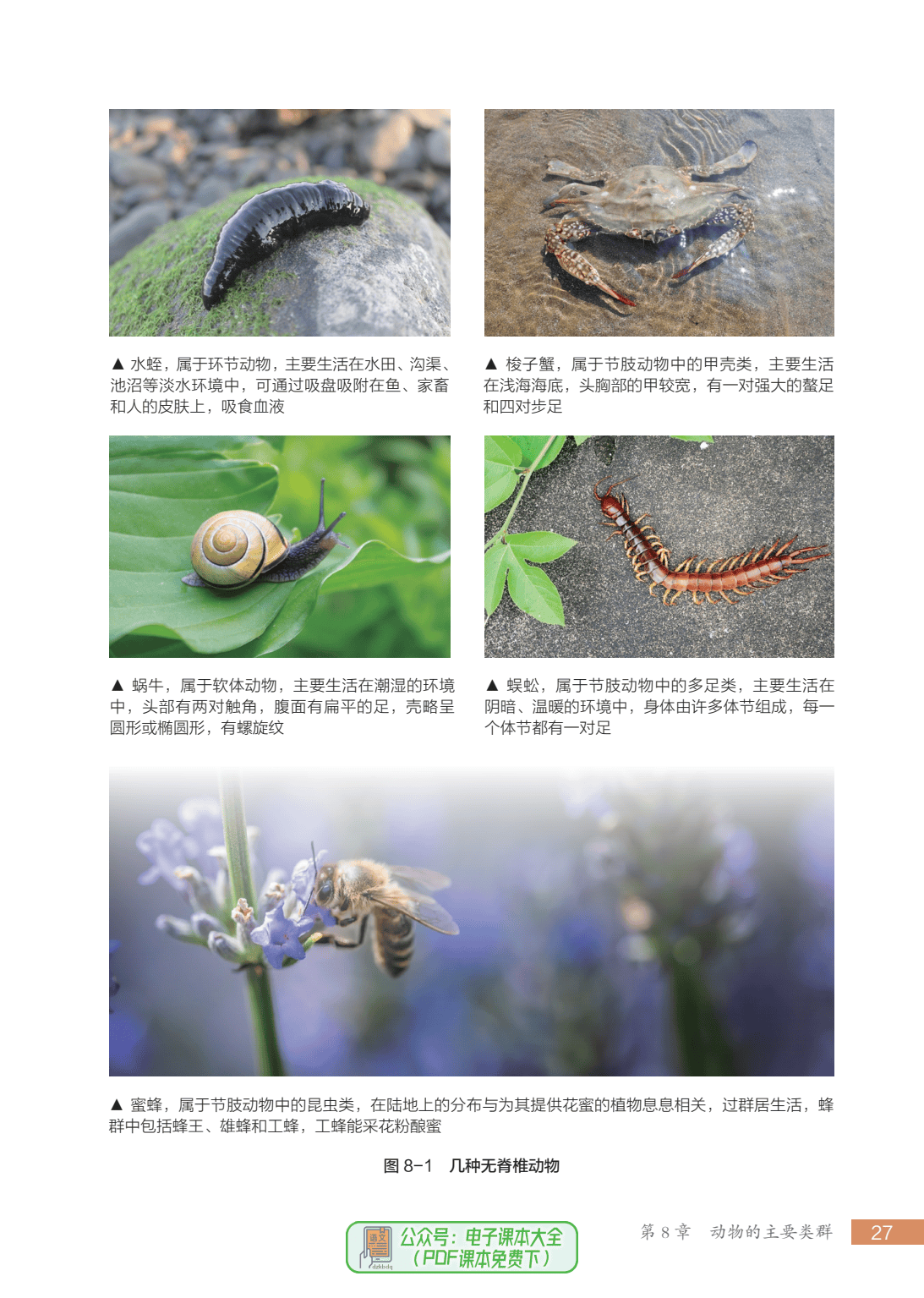 七下生物背书表(七下生物背诵口诀) 第2张 七下生物背书表(七下生物背诵口诀) 第2张