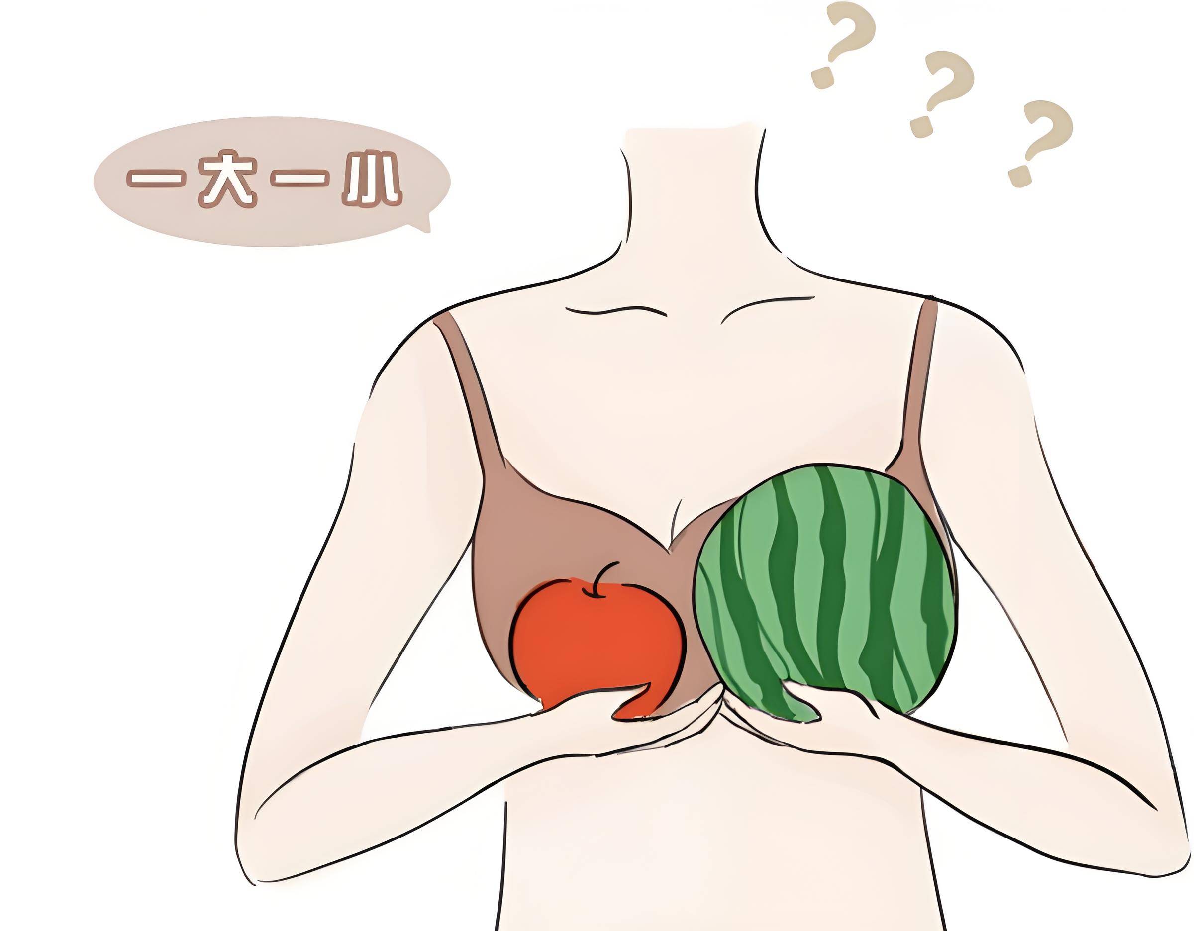 为什么女的胸一个大一个小呢百科在线