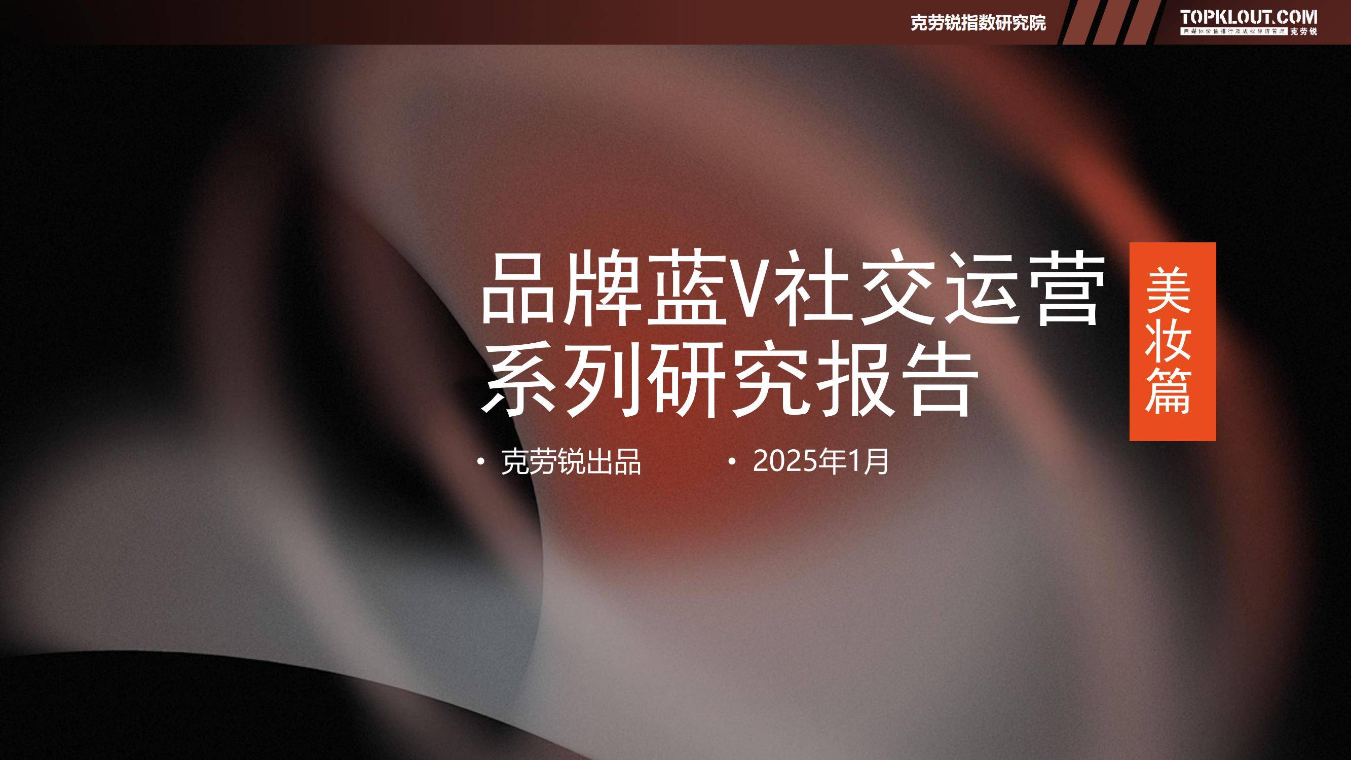 2025年美妆品牌蓝V社交运营策略解析，蓝V矩阵规模与用户互动特征-报告智库