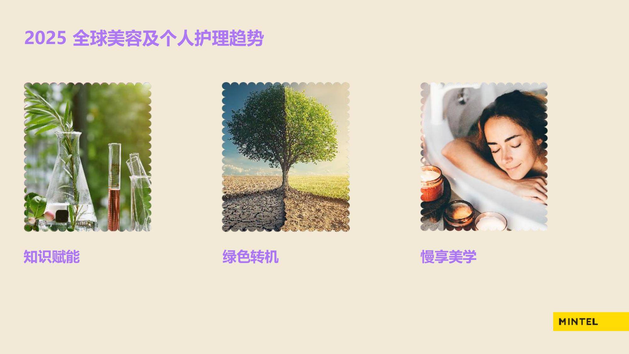 2025年中国美容个护市场趋势分析，美容个护市场消费新势力洞察-报告智库
