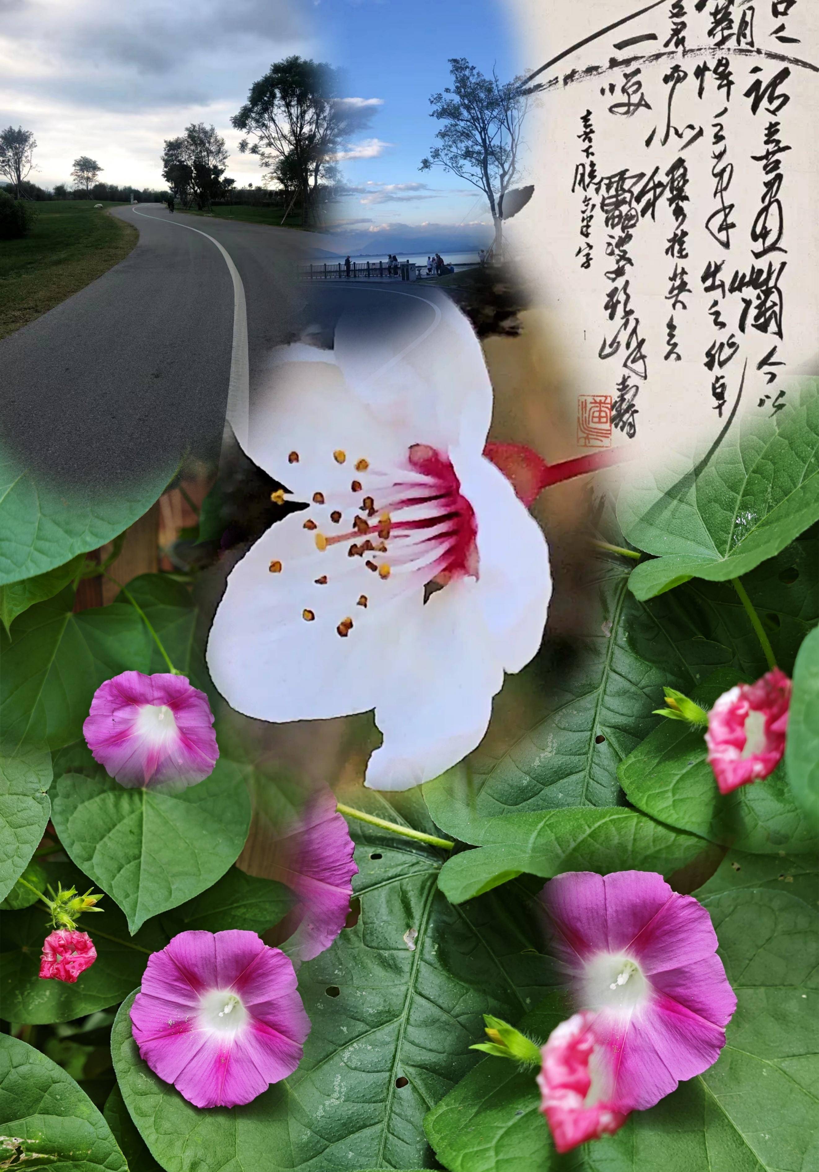 谜一样的骆宾王