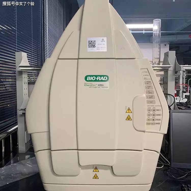 Bio-Rad伯乐化学发光成像系统_搜狐网