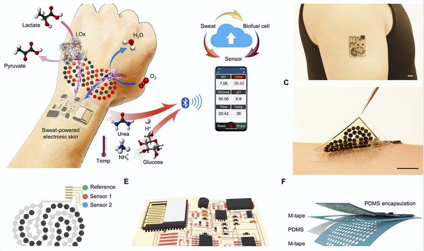 电子皮肤:跨越壁垒,绽放无限可能