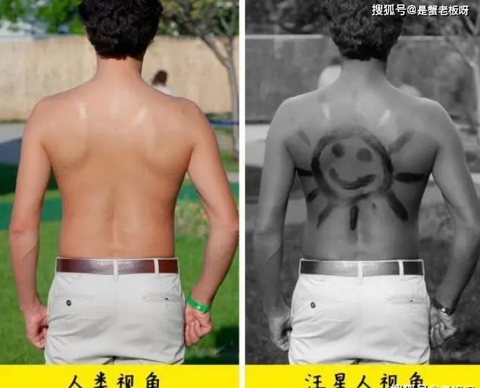 原创            狗经常对着空气乱叫，难道狗真的能看到人类看不见的东西？（狗狗对着空气狂吠）