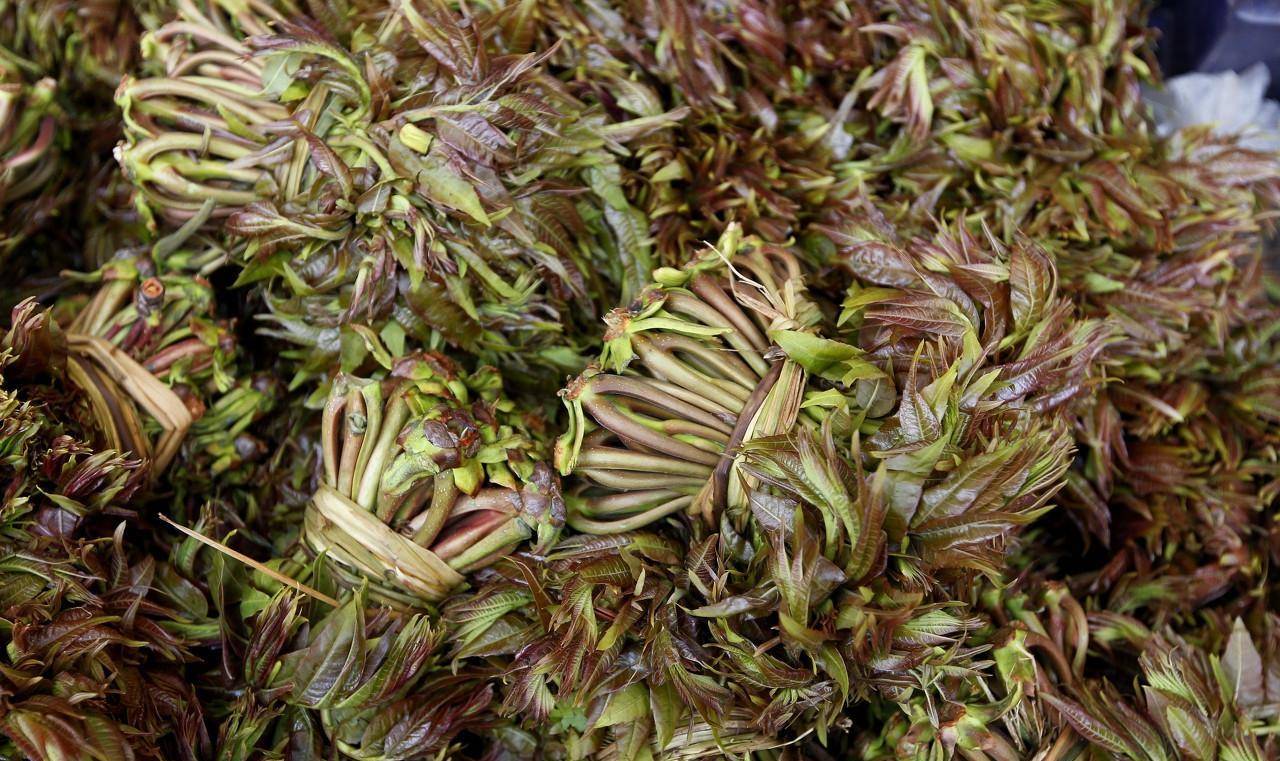 这道野菜在农村随处可见,城里人 春笕创蠛 :比牛肉