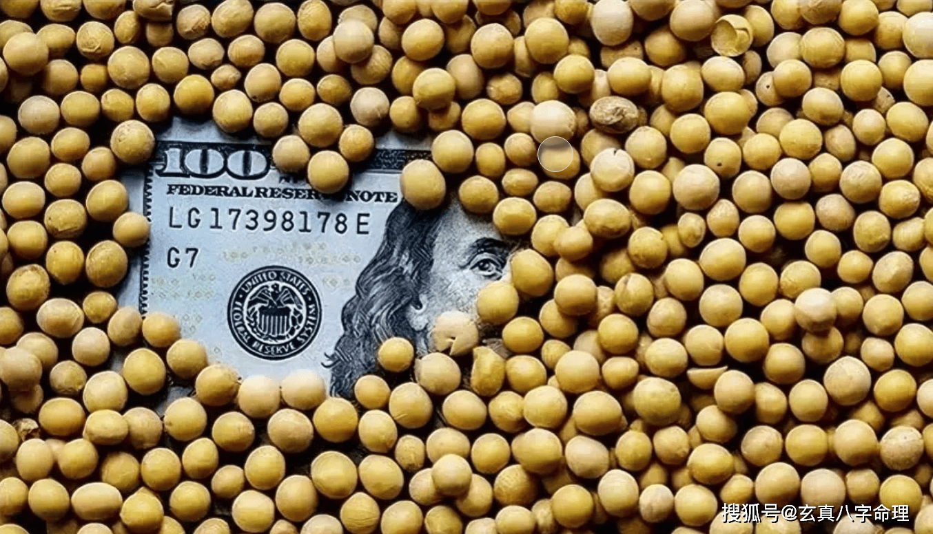 中国刚刚从巴西买了240万吨大豆，美国农民就慌了_搜狐网