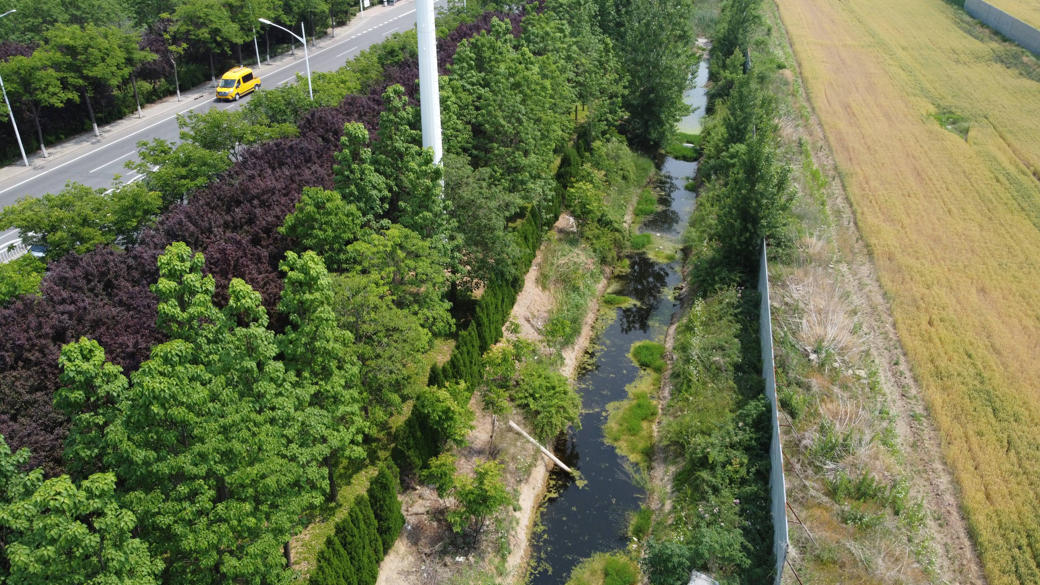 于站前大道旁,一条沟渠隐藏在重重遮蔽之中