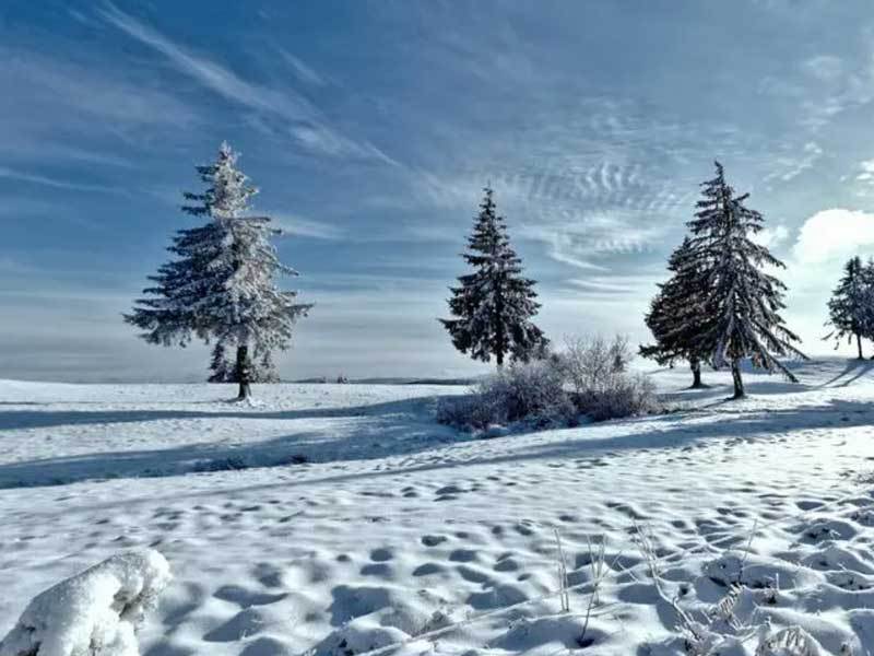 显卡天梯图2024最新版：游戏党设计师矿工分别该怎么选？