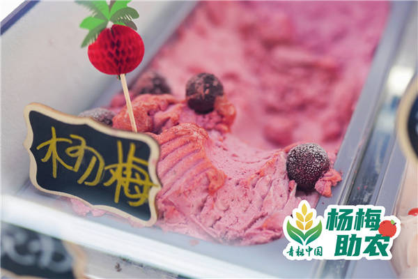 青春助农·“梅”好同行—— “青耕中国·杨梅助农”暨“梅好市集”活动(图3) 青春助农·“梅”好同行—— “青耕中国·杨梅助农”暨“梅好市集”活动(图3)
