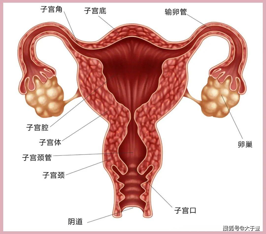 子宫最怕的6个问题,90%的女性难以避免第2个!