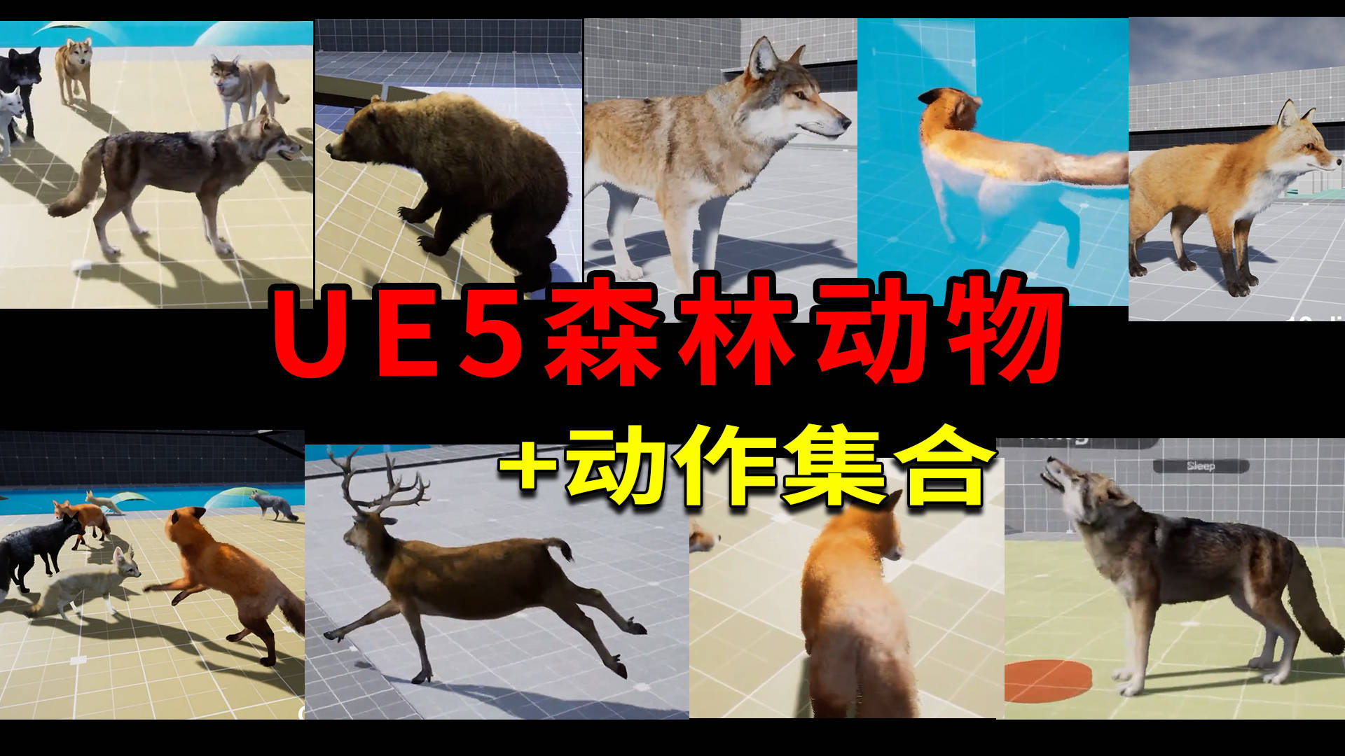 高价值虚幻ue森林动物合集包含动作296个 