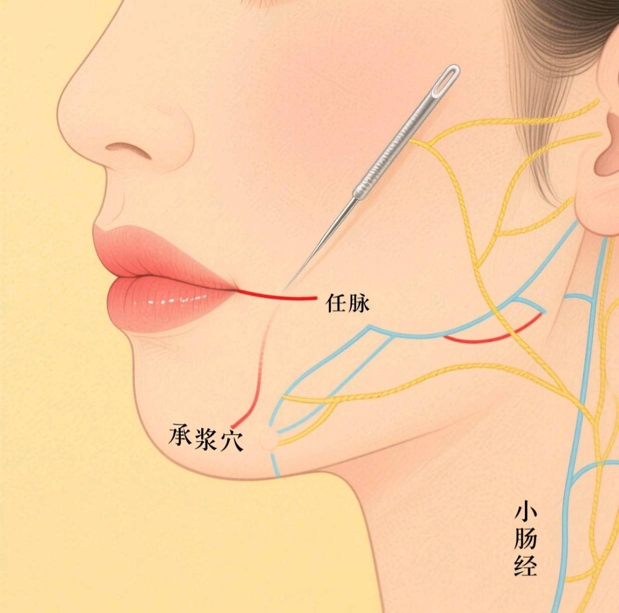 中国传统诗：口。