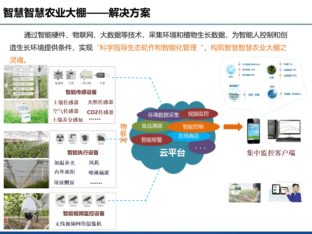 智慧农业解决方案：让传统农业焕发新生