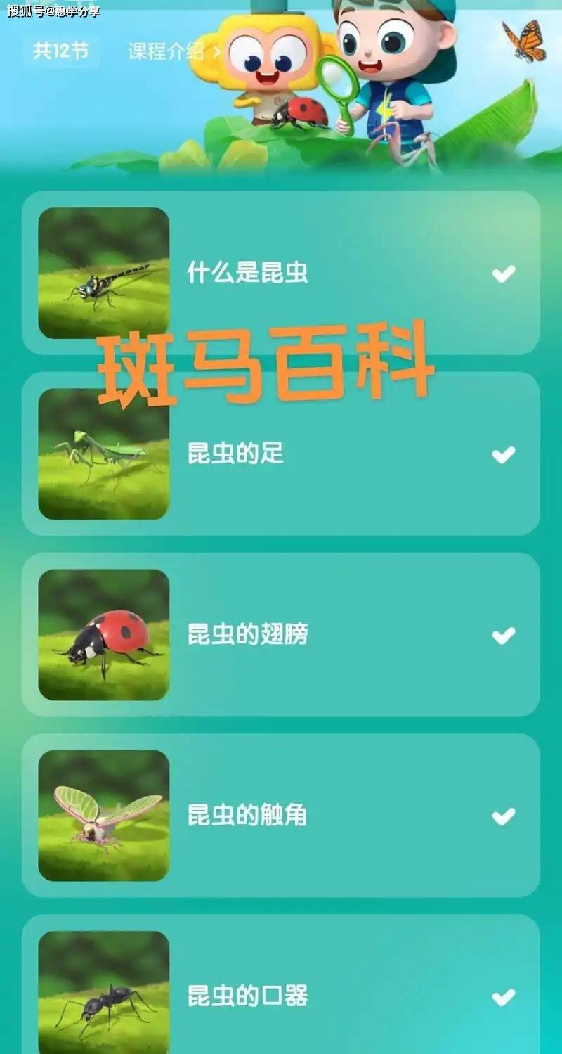 斑马全套资料-时令官IP站