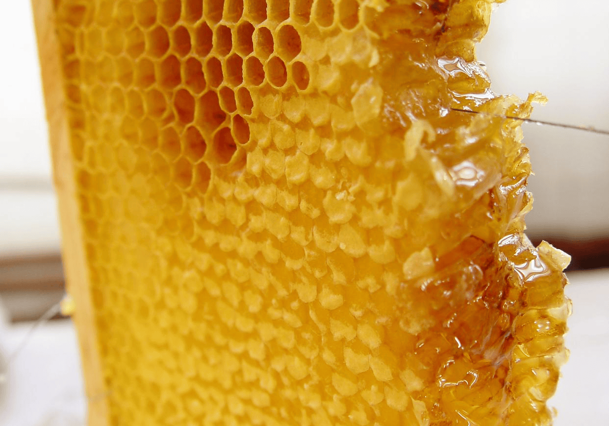 蜂蜜放不放冰箱保鲜可以吗(蜂蜜放不放冰箱保存吗)